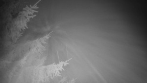 Letiště Třebíč - Pohled na východ - 15.12.2025 v 06:15 Letiště Třebíč - Pohled na východ - 15.12.2025 v 06:15