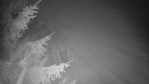 Letiště Třebíč - Pohled na východ - 15.12.2025 v 06:30 Letiště Třebíč - Pohled na východ - 15.12.2025 v 06:30