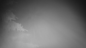 Letiště Třebíč - Pohled na východ - 17.12.2025 v 00:00 Letiště Třebíč - Pohled na východ - 17.12.2025 v 00:00