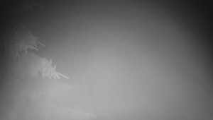 Letiště Třebíč - Pohled na východ - 17.12.2025 v 00:15 Letiště Třebíč - Pohled na východ - 17.12.2025 v 00:15