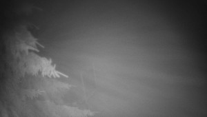 Letiště Třebíč - Pohled na východ - 17.12.2025 v 01:30 Letiště Třebíč - Pohled na východ - 17.12.2025 v 01:30