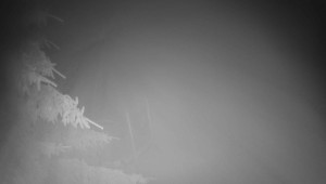 Letiště Třebíč - Pohled na východ - 17.12.2025 v 03:15 Letiště Třebíč - Pohled na východ - 17.12.2025 v 03:15