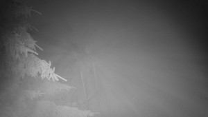 Letiště Třebíč - Pohled na východ - 17.12.2025 v 03:30 Letiště Třebíč - Pohled na východ - 17.12.2025 v 03:30