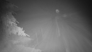 Letiště Třebíč - Pohled na východ - 17.12.2025 v 05:15 Letiště Třebíč - Pohled na východ - 17.12.2025 v 05:15