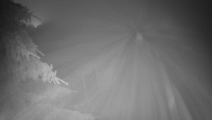 Letiště Třebíč - Pohled na východ - 17.12.2025 v 07:15 Letiště Třebíč - Pohled na východ - 17.12.2025 v 07:15