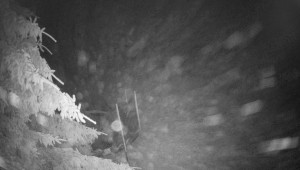 Letiště Třebíč - Pohled na východ - 17.12.2025 v 22:00 Letiště Třebíč - Pohled na východ - 17.12.2025 v 22:00