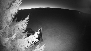 Letiště Třebíč - Pohled na východ - 29.12.2025 v 06:30 Letiště Třebíč - Pohled na východ - 29.12.2025 v 06:30