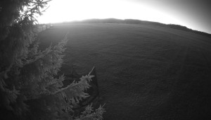 Letiště Třebíč - Pohled na východ - 29.12.2025 v 07:15 Letiště Třebíč - Pohled na východ - 29.12.2025 v 07:15