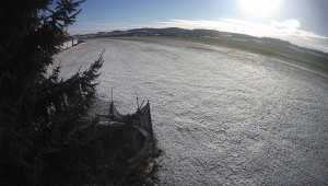 Letiště Třebíč - Pohled na východ - 31.12.2025 v 11:00 Letiště Třebíč - Pohled na východ - 31.12.2025 v 11:00