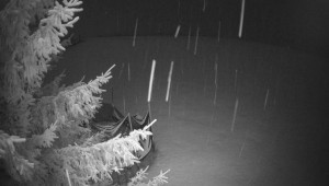 Letiště Třebíč - Pohled na východ - 30.1.2026 v 00:15 Letiště Třebíč - Pohled na východ - 30.1.2026 v 00:15