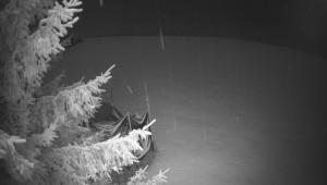 Letiště Třebíč - Pohled na východ - 30.1.2026 v 01:15 Letiště Třebíč - Pohled na východ - 30.1.2026 v 01:15