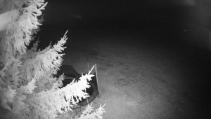 Letiště Třebíč - Pohled na východ - 13.3.2026 v 00:00 Letiště Třebíč - Pohled na východ - 13.3.2026 v 00:00