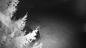 Letiště Třebíč - Pohled na východ - 13.3.2026 v 00:15 Letiště Třebíč - Pohled na východ - 13.3.2026 v 00:15