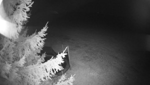 Letiště Třebíč - Pohled na východ - 13.3.2026 v 00:45 Letiště Třebíč - Pohled na východ - 13.3.2026 v 00:45