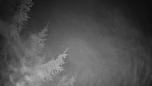 Letiště Třebíč - Pohled na východ - 13.3.2026 v 01:30 Letiště Třebíč - Pohled na východ - 13.3.2026 v 01:30