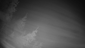 Letiště Třebíč - Pohled na východ - 13.3.2026 v 02:00 Letiště Třebíč - Pohled na východ - 13.3.2026 v 02:00