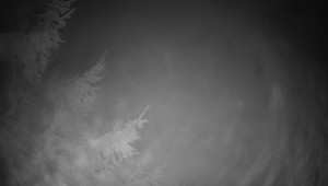 Letiště Třebíč - Pohled na východ - 13.3.2026 v 03:45 Letiště Třebíč - Pohled na východ - 13.3.2026 v 03:45