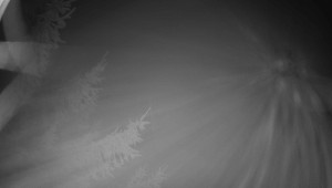 Letiště Třebíč - Pohled na východ - 13.3.2026 v 04:15 Letiště Třebíč - Pohled na východ - 13.3.2026 v 04:15