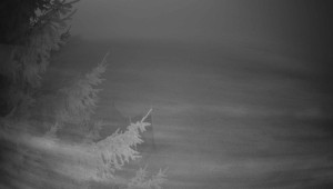 Letiště Třebíč - Pohled na východ - 13.3.2026 v 05:45 Letiště Třebíč - Pohled na východ - 13.3.2026 v 05:45