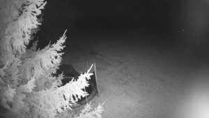 Letiště Třebíč - Pohled na východ - 25.3.2026 v 02:00 Letiště Třebíč - Pohled na východ - 25.3.2026 v 02:00