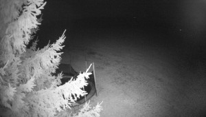 Letiště Třebíč - Pohled na východ - 25.3.2026 v 03:00 Letiště Třebíč - Pohled na východ - 25.3.2026 v 03:00