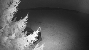 Letiště Třebíč - Pohled na východ - 1.4.2026 v 01:45 Letiště Třebíč - Pohled na východ - 1.4.2026 v 01:45