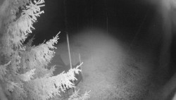 Pohled na východ