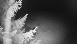 Pohled na východ