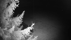 Pohled na východ