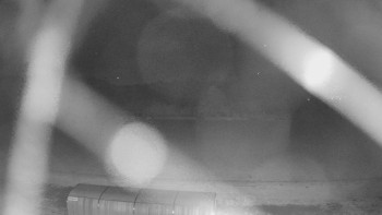 Snímek    20.10.2025 v 23:20