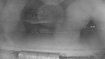 Snímek    25.10.2025 v 19:10