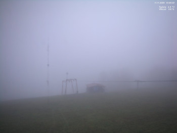 Snímek 11.11.2025 v 16:00