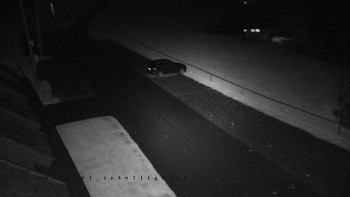 Snímek    23.10.2025 v 03:50