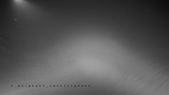 Snímek    4.11.2025 v 05:30