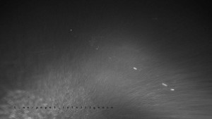 Horský hotel Čarták na Soláni - Hotel Čarták – parkoviště - 12.11.2025 v 02:05 Horský hotel Čarták na Soláni - Hotel Čarták – parkoviště - 12.11.2025 v 02:05