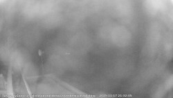 Pohled na jih, hrad Trosky