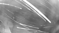 Pohled na jih, hrad Trosky