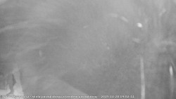 Pohled na jih, hrad Trosky