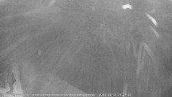 Pohled na jih, hrad Trosky