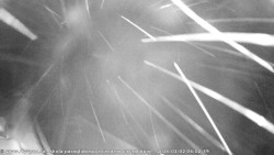 Pohled na jih, hrad Trosky