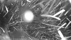 Pohled na jih, hrad Trosky