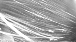 Pohled na jih, hrad Trosky