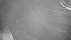 Pohled na jih, hrad Trosky