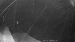 Pohled na jih, hrad Trosky