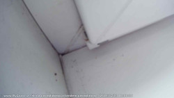 Pohled na jih, hrad Trosky