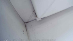 Pohled na jih, hrad Trosky