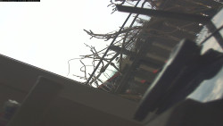 Pohled na jih, hrad Trosky