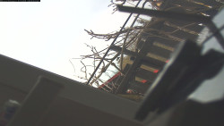 Pohled na jih, hrad Trosky