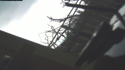 Pohled na jih, hrad Trosky