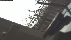 Pohled na jih, hrad Trosky